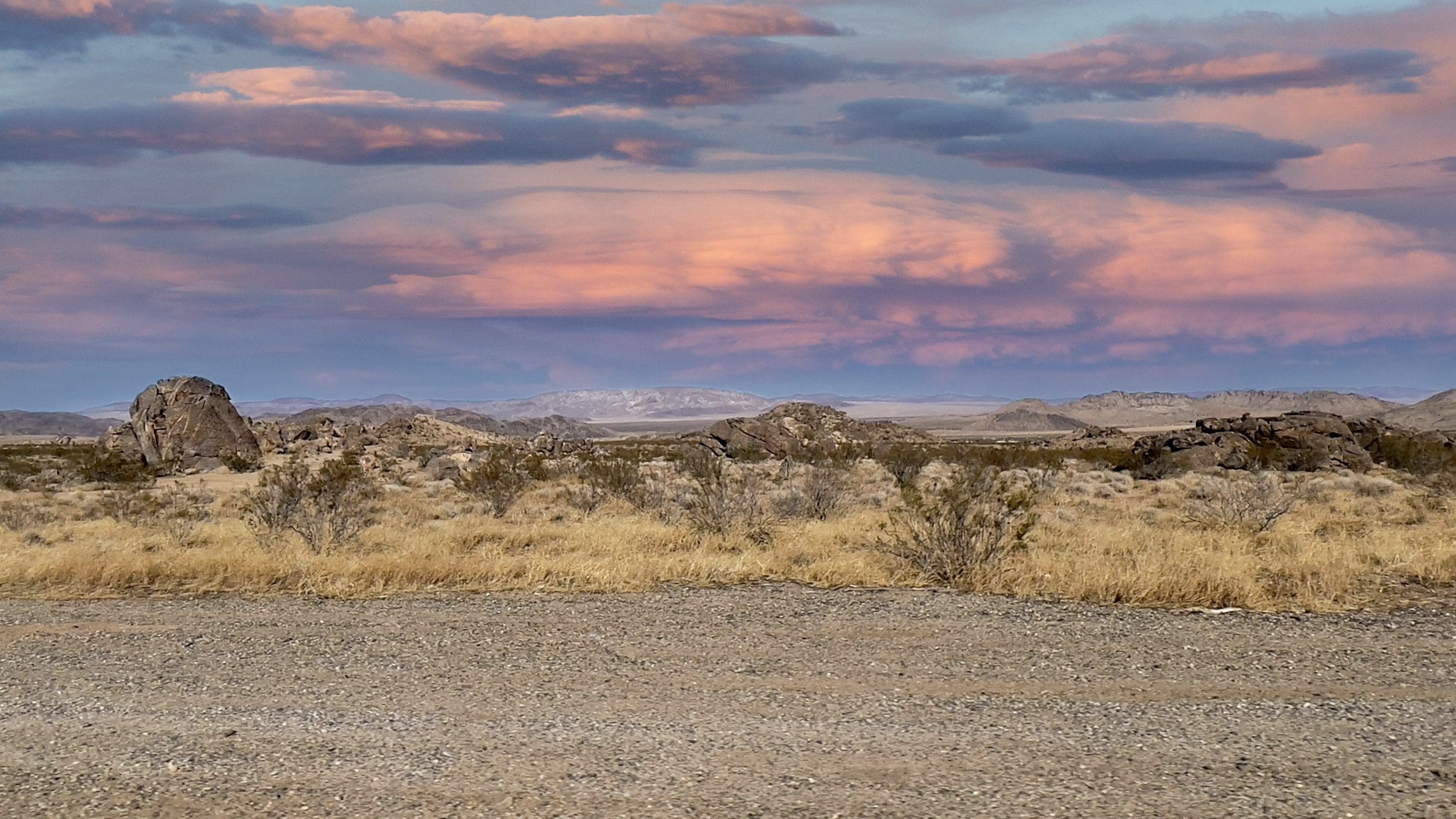 Brooding desert sunset with yucca, open land, and distant mountains